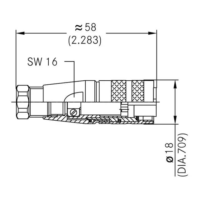 C091 31D105 100 2